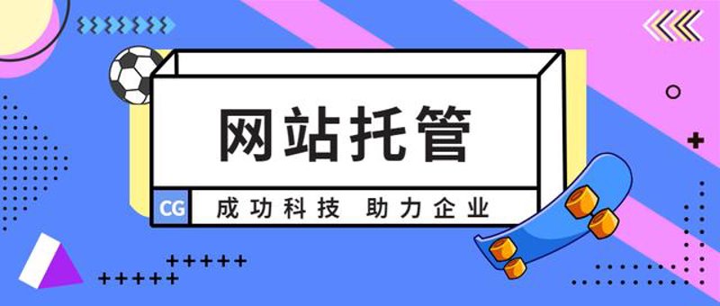 SEO站群布局新趋势：构建网页的生命力