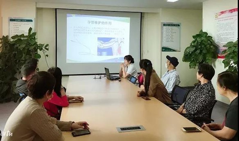 站群软件引领新时代网络营销趋势